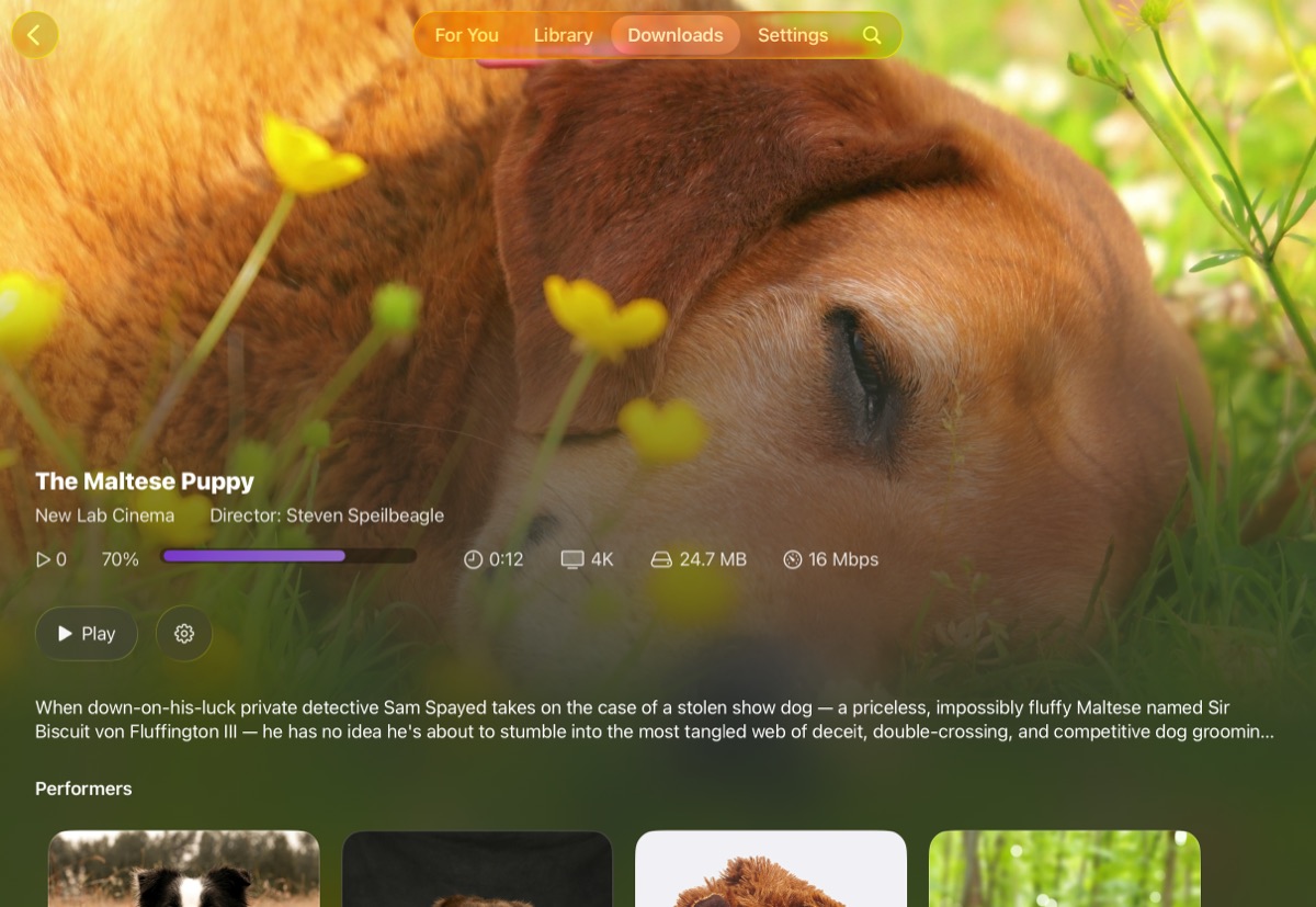 Screenshot of a downloaded scene