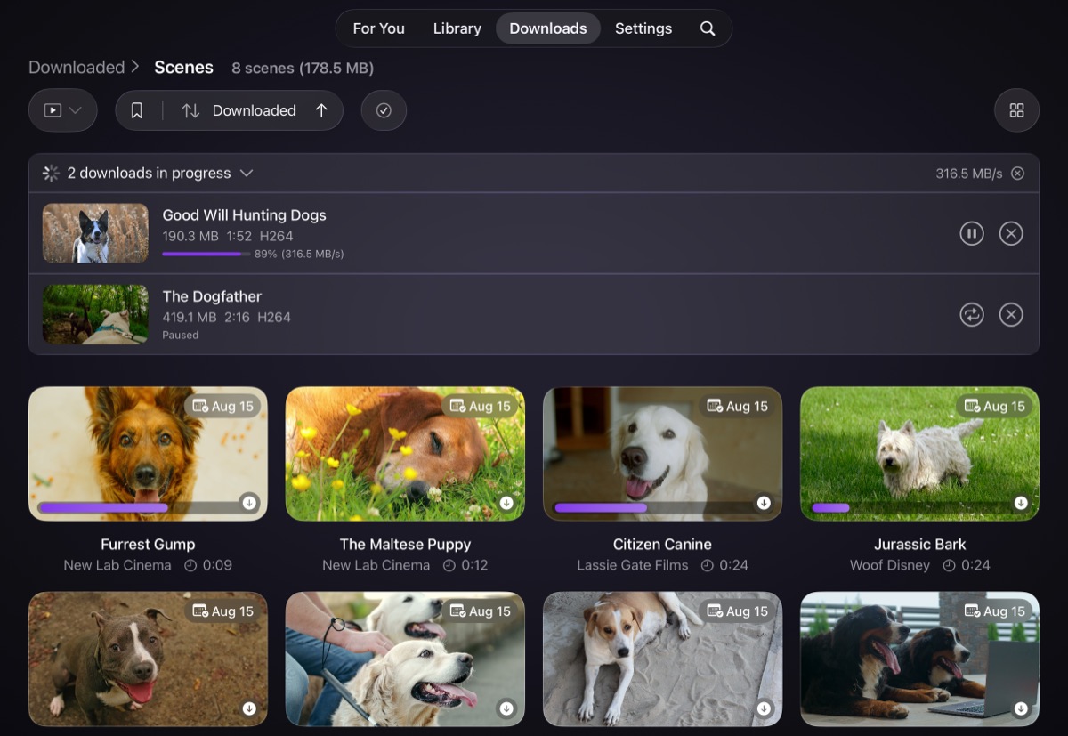 Screenshot of the Downloads tab