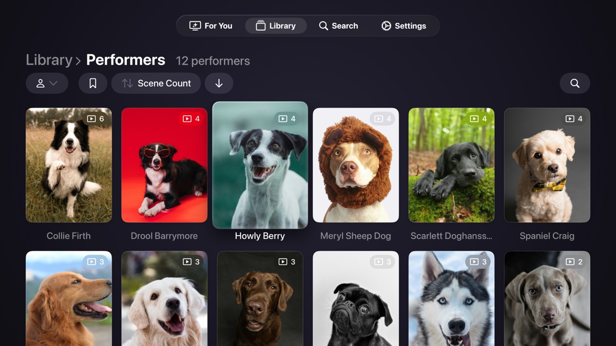 Screenshot of the performers view